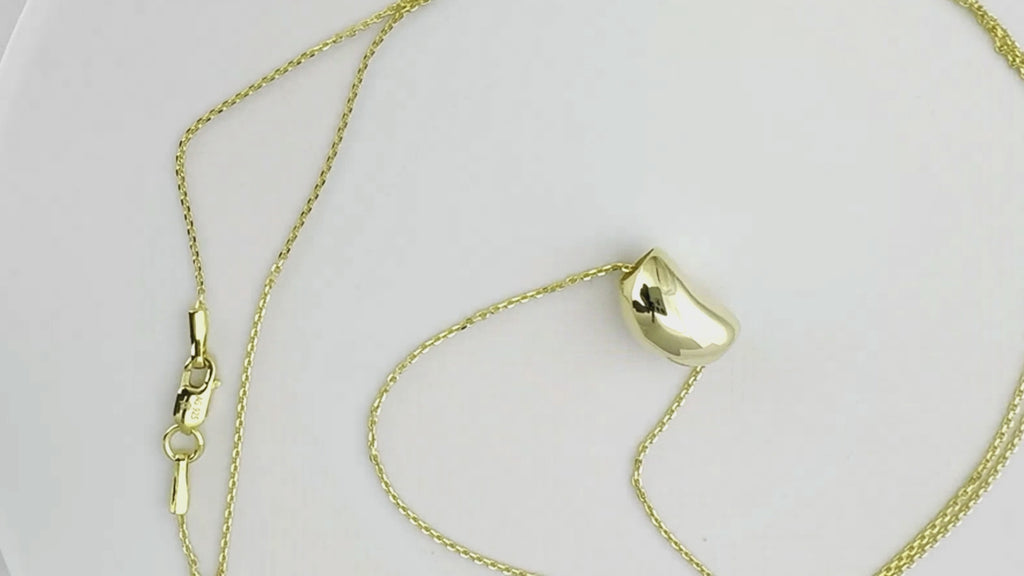 Friendship Seed Charm Necklace - Silver and Yellow Gold Overlay Sterling Silver 925 Layaring Necklace 18 Inch Chain - Sterling Silver 925