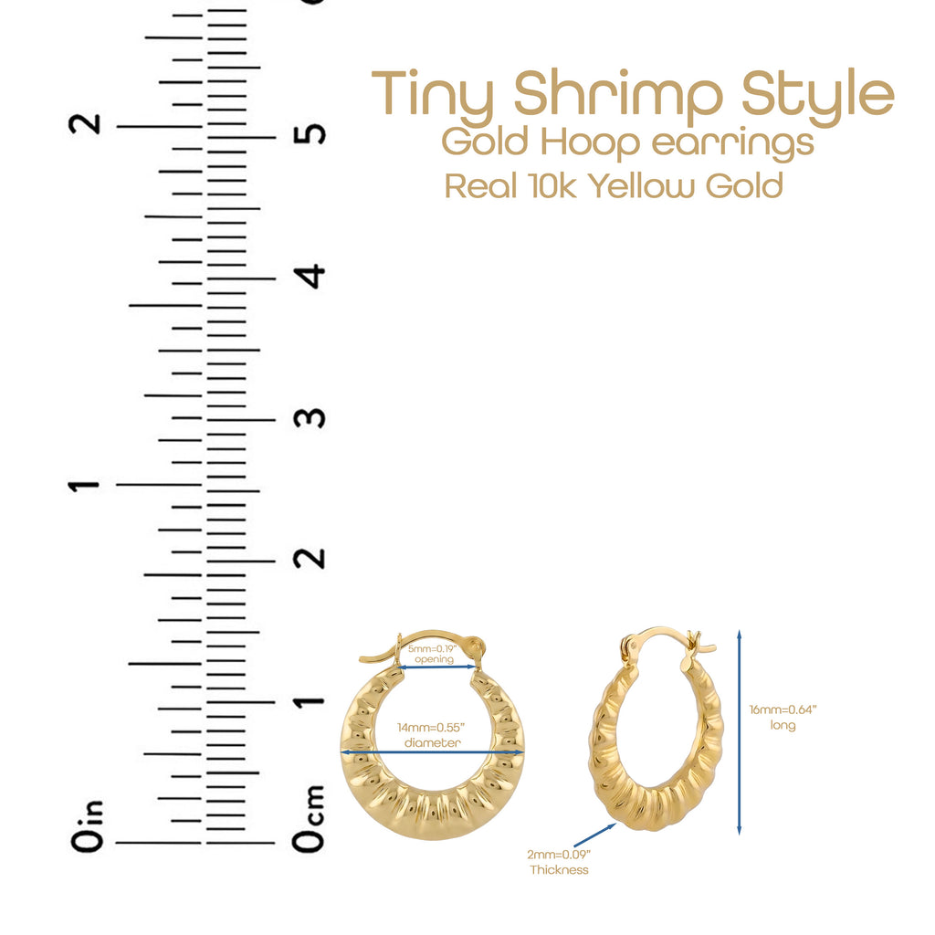 Tiny Shrimp Hoop Earrings | Real 14K Yellow Gold | Classic Shell Design (Copy)